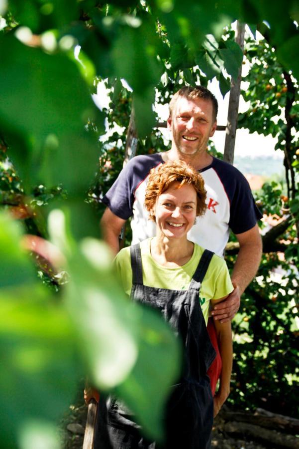 Farmstay Kmetija Stekar Kojsko Экстерьер фото