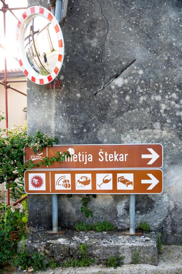 Farmstay Kmetija Stekar Kojsko Экстерьер фото