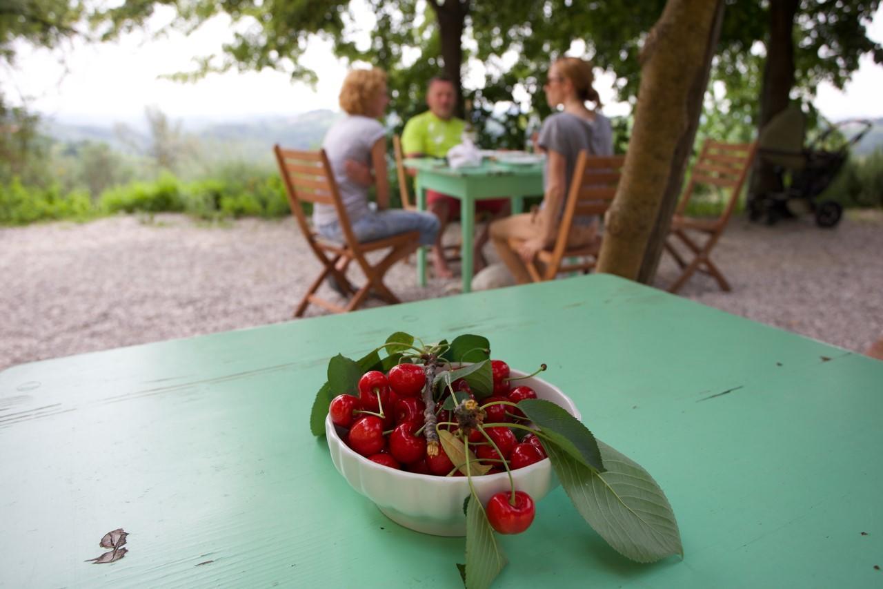 Farmstay Kmetija Stekar Kojsko Экстерьер фото
